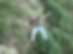 Activities Mukteshwar Camping.webp